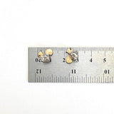 Squirrel Earrings – Handmade Wood Stud Earrings | Hypoallergenic Post Jewelry  (AN)
