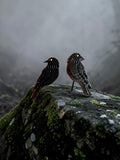 Crow Stud Earrings - Hand Painted Wooden Jewelry